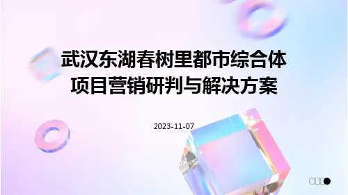 武汉东湖春树里都市综合体项目营销研判与解决方案