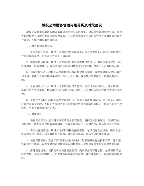 城投公司财务管理问题分析及对策建议