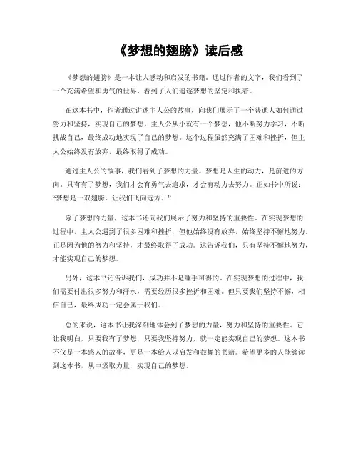 《梦想的翅膀》读后感