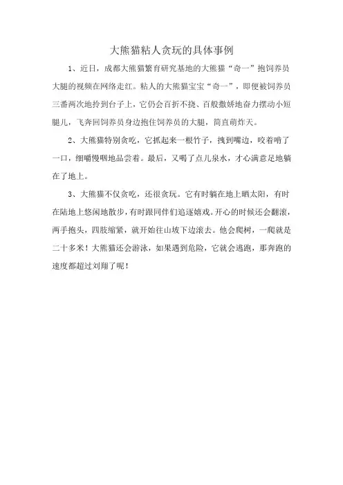 大熊猫粘人贪玩的具体事例