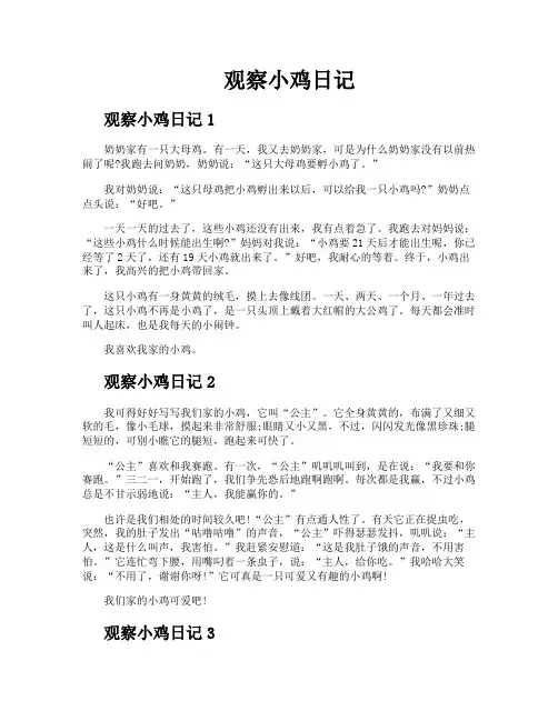 观察小鸡日记