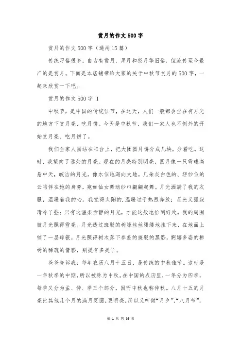 赏月的作文500字