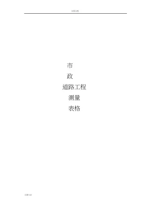 市政道路施工测量表格