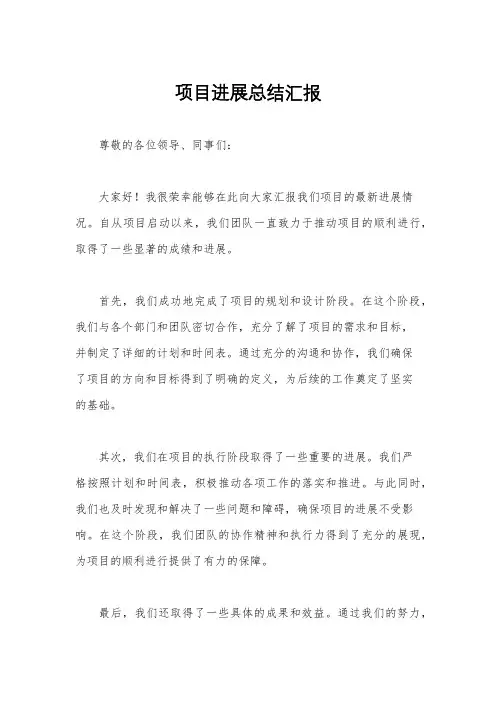 项目进展总结汇报
