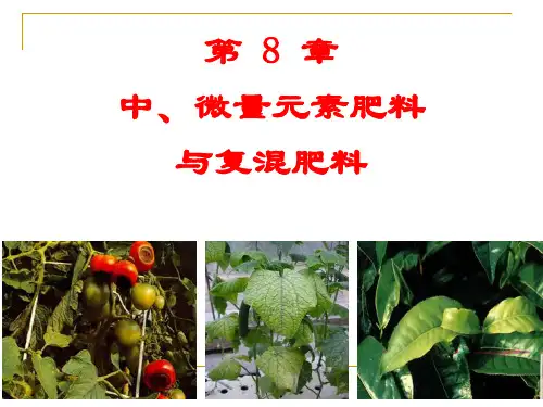 土壤肥料学：第 8 章中、微量元素肥料与复混肥料