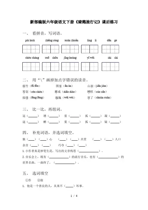 新部编版六年级语文下册《骑鹅旅行记》课后练习