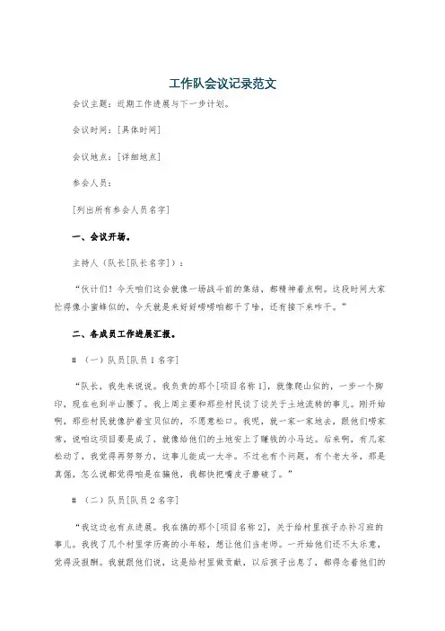 工作队会议记录范文