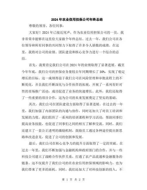 2024年农业信用担保公司年终总结