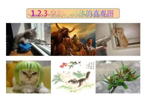 _空间几何体的三视图和直观图课件