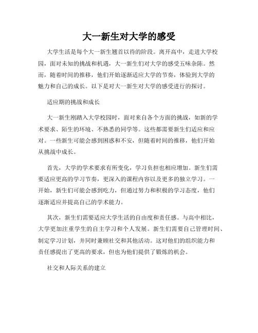 大一新生对大学的感受
