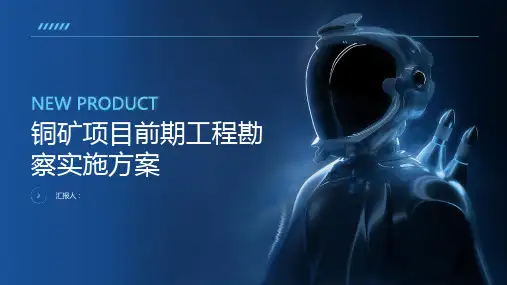 铜矿项目前期工程勘察实施方案
