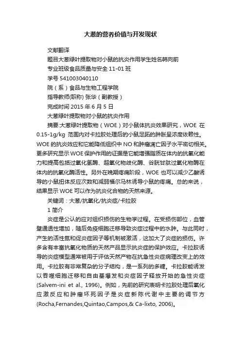 大葱的营养价值与开发现状