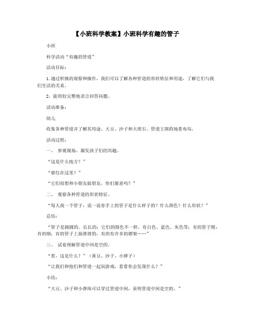 【小班科学教案】小班科学有趣的管子