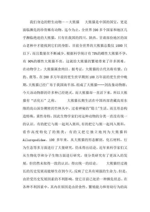班会课件：保护野生动物