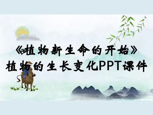 《植物新生命的开始》植物的生长变化PPT课件