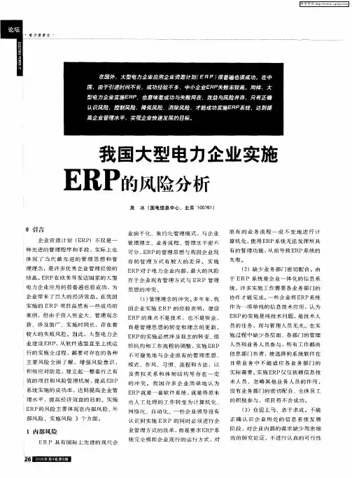 我国大型电力企业实施ERP的风险分析