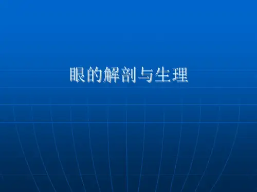 眼的解剖与生理