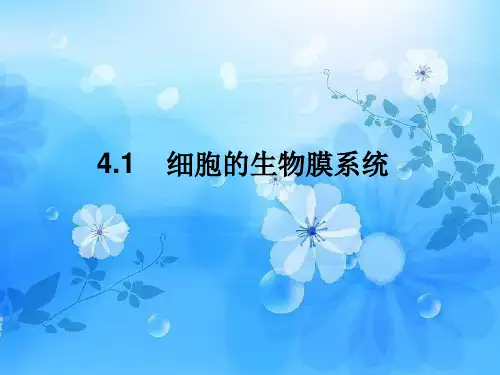 细胞的生物膜系统PPT教学课件