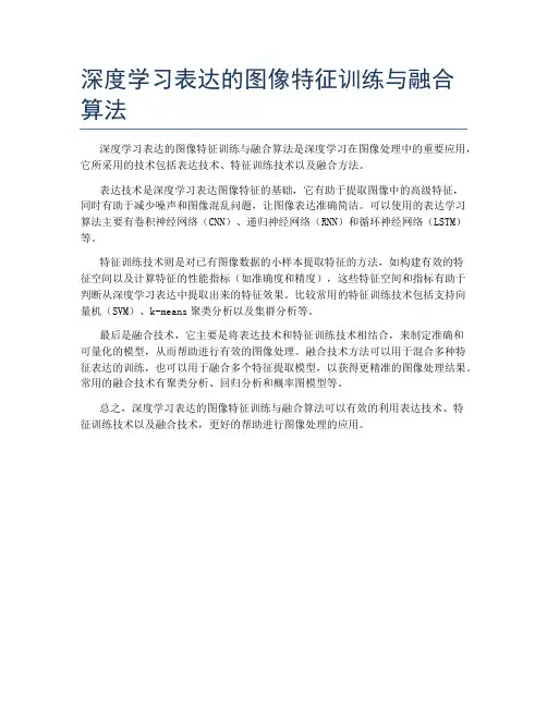 深度学习表达的图像特征训练与融合算法