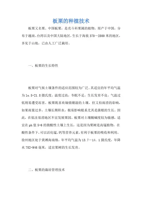 板栗的种植技术