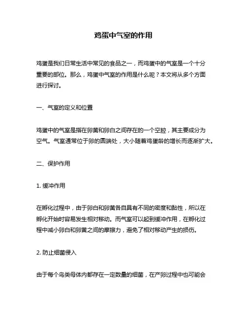 鸡蛋中气室的作用