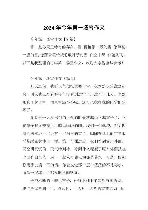2024年今年第一场雪作文
