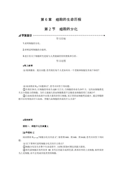 高中生物人教版必修1 6.2 细胞的分化 学案