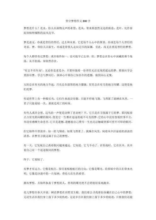 坚守梦想作文800字正式版