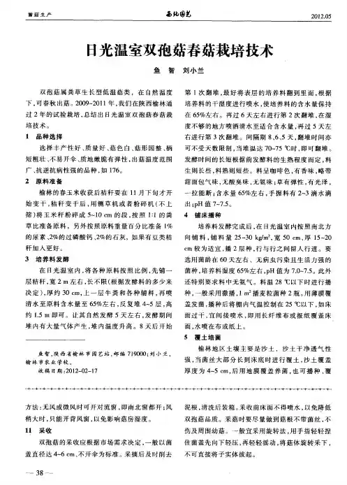 日光温室双孢菇春菇栽培技术
