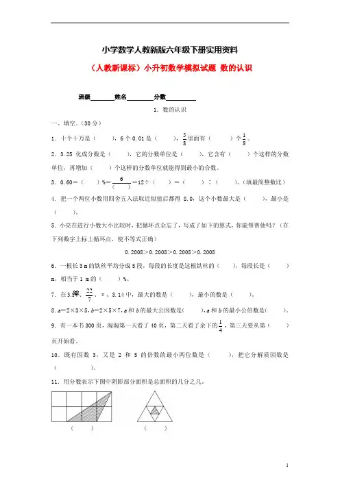 小学数学人教新版六年级下册小升初专题练习：数的认识