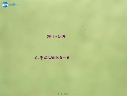 中考英语总复习 第17讲 九年级 Units56课件 人教新目标版