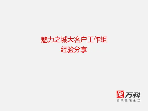 万科大客户拓展及管理