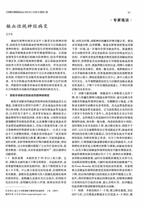 缺血性视神经病变