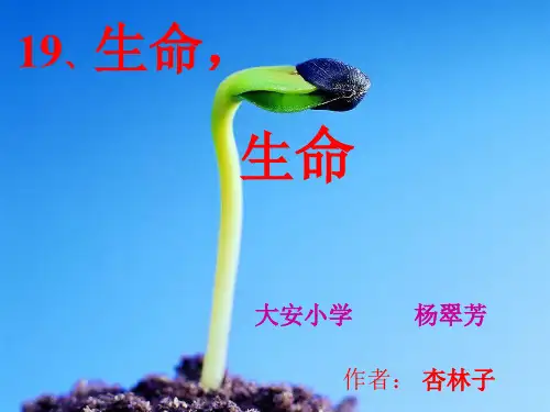 《生命生命》PPT课件