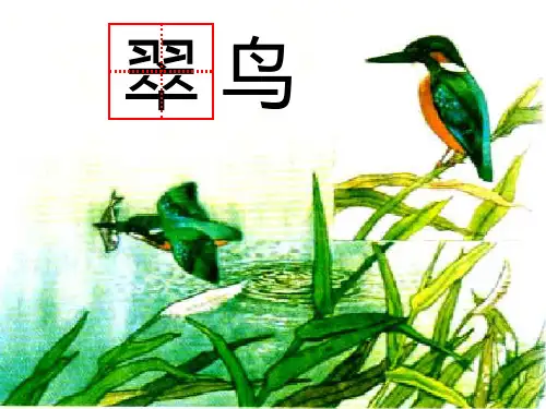 人教版小学语文三年级下册《翠鸟》课件PPT(1)