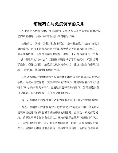 细胞凋亡与免疫调节的关系