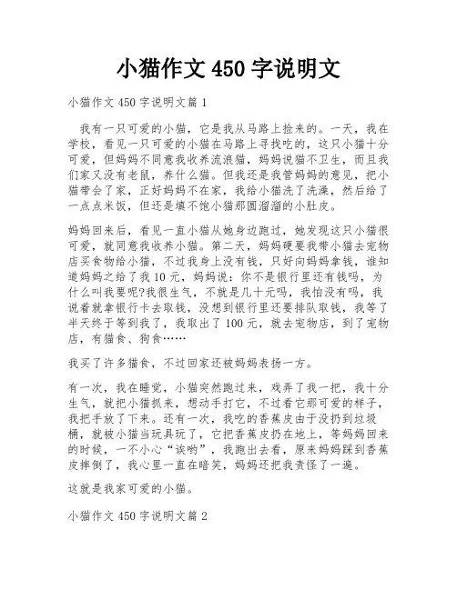 小猫作文450字说明文