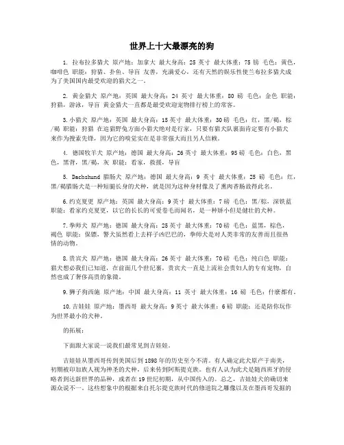 世界上十大最漂亮的狗