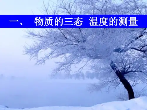 物质的三态-温度的测量ppt