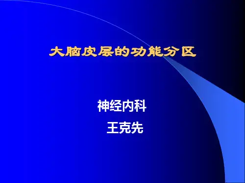 大脑皮质功能分区52446