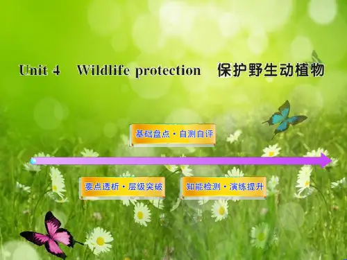 高中英语全程复习方略配套课件 必修2 Unit4《Wildlife Protection》