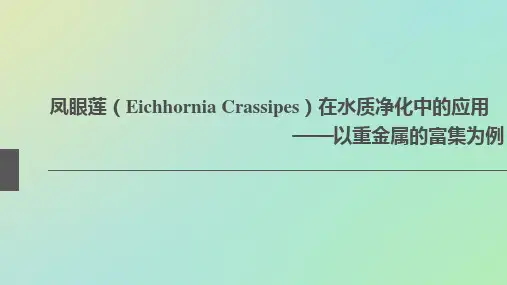 凤眼莲(EichhorniaCrassipes)在水质净化中的应用
