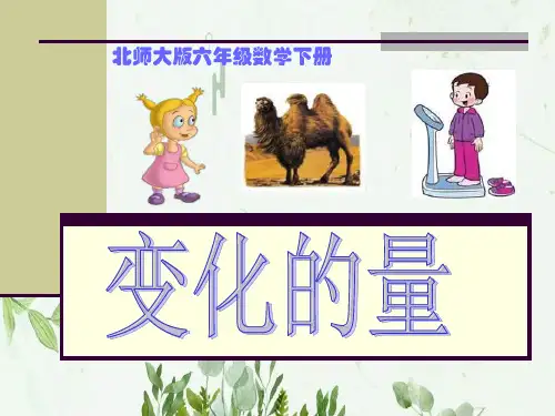 《变化的量》比例PPT课件 图文