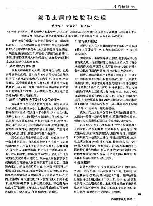 旋毛虫病的检验和处理