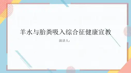 羊水与胎粪吸入综合征健康宣教PPT