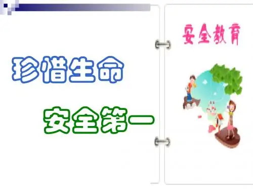 班主任主题班会育人课件：“安全教育”主题班会(共24张PPT)