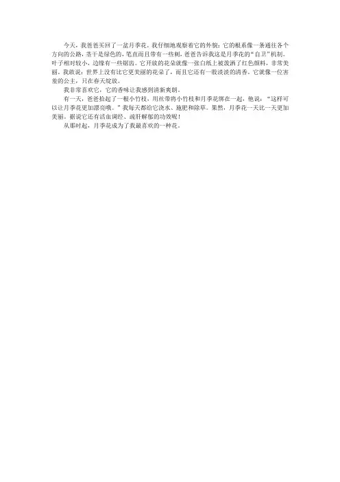 三年级写一种植物的作文300字月季花