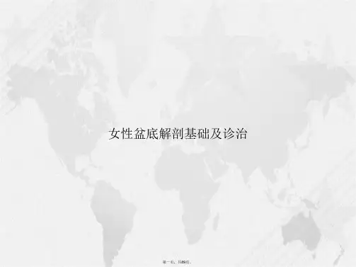 女性盆底解剖基础及诊治讲课文档