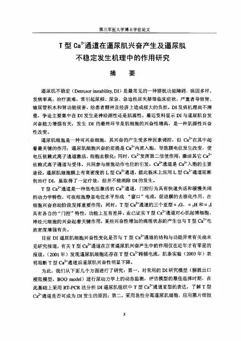 T型Ca-%272%2b-通道在逼尿肌兴奋产生及逼尿肌不稳定发生机理中作用研究