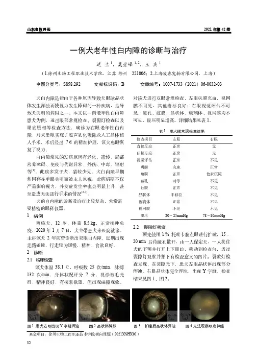 一例犬老年性白内障的诊断与治疗
